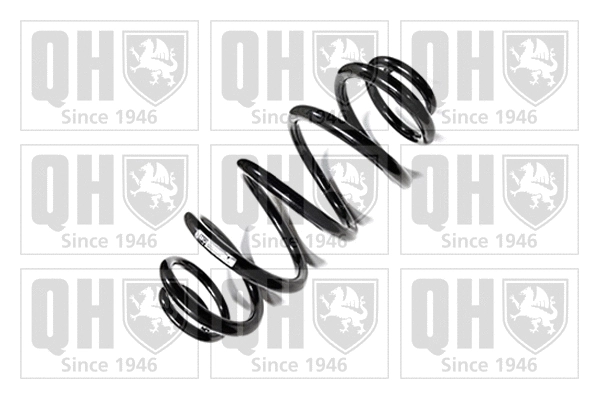Suspension Spring (QCS6054)