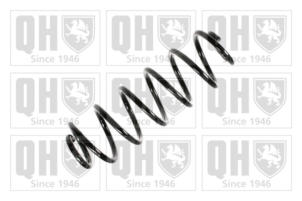 Suspension Spring (QCS5353)