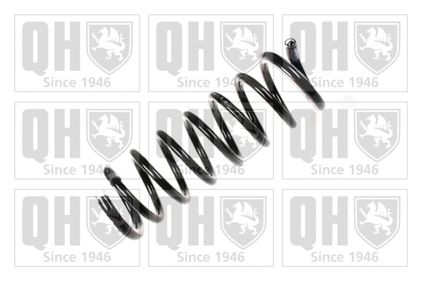 Suspension Spring (QCS6895)