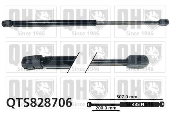 Gas Spring, boot/cargo area (QTS828706)