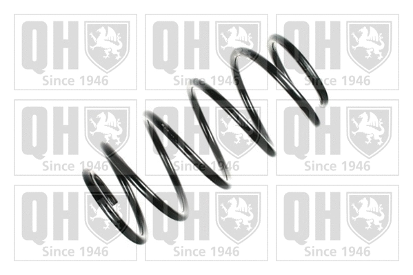 Suspension Spring (QCS6179)
