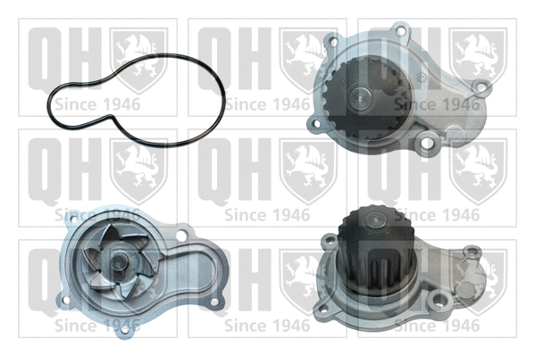 Water Pump, engine cooling (QCP3795)