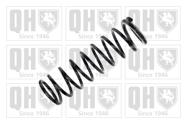 Suspension Spring (QCS6873)