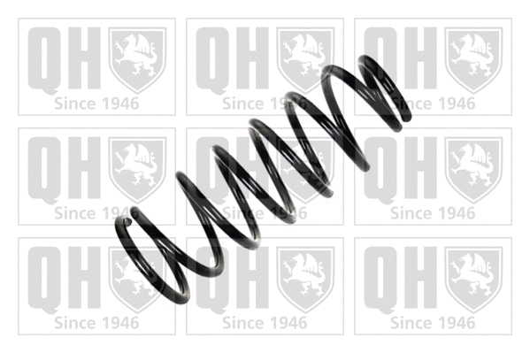 Suspension Spring (QCS5224)