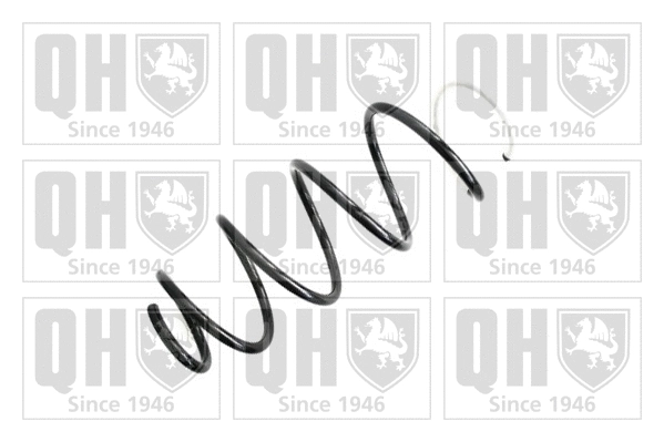 Suspension Spring (QCS8094)