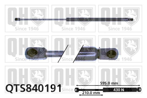 Gas Spring, boot/cargo area (QTS840191)