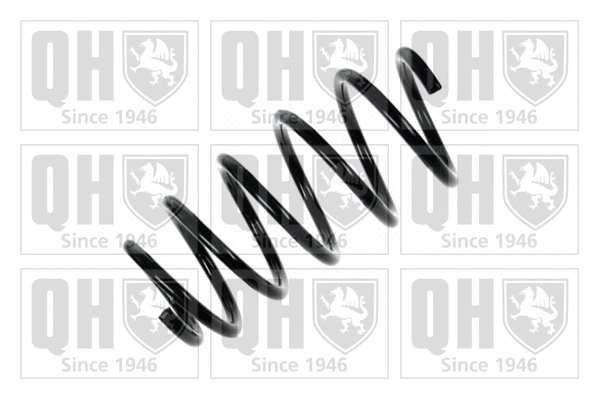 Suspension Spring (QCS5156)