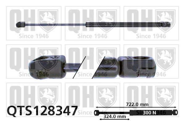 Gas Spring, bonnet (QTS128347)