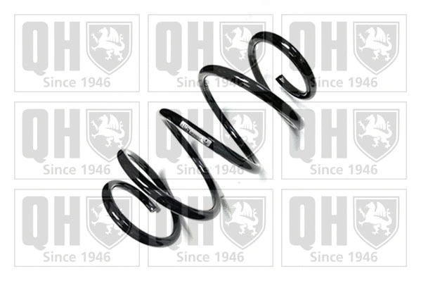 Suspension Spring (QCS8757)