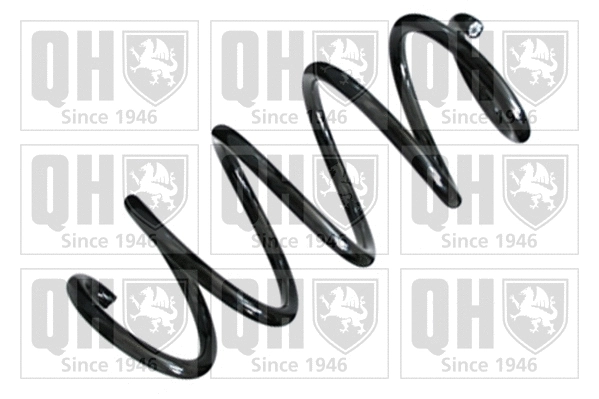 Suspension Spring (QCS5538)