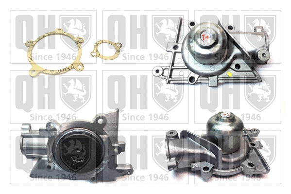 Water Pump, engine cooling (QCP2587)