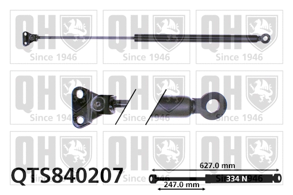Gas Spring, boot/cargo area (QTS840207)