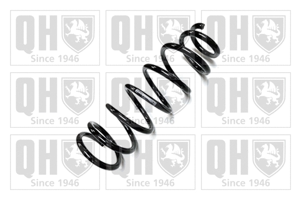 Suspension Spring (QCS5044)
