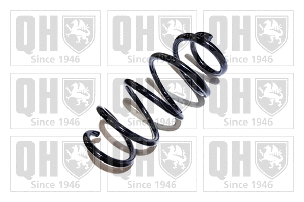 Suspension Spring (QCS5861)