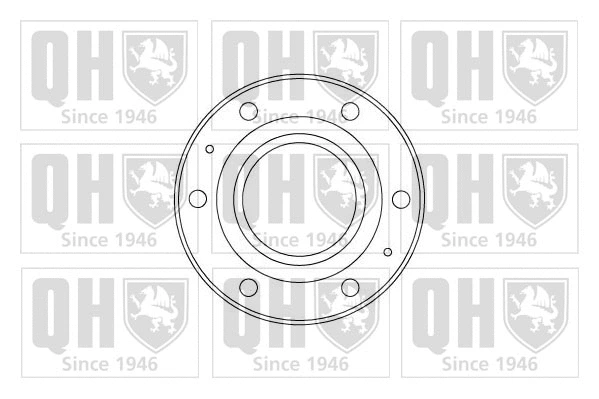 Brake Disc (BDC4653)