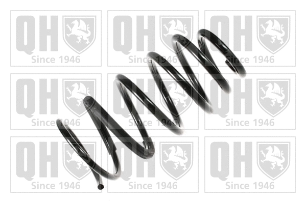 Suspension Spring (QCS6751)