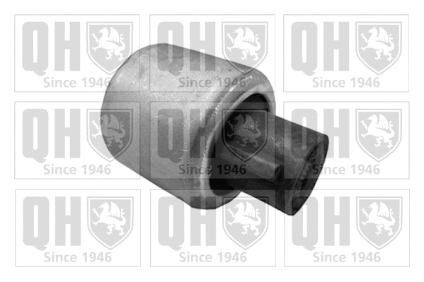 Mounting, control/trailing arm (EMS8345)
