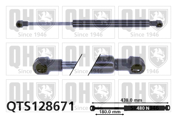 Gas Spring, bonnet (QTS128671)