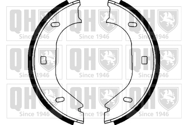 Brake Shoe Set, parking brake (BS858)