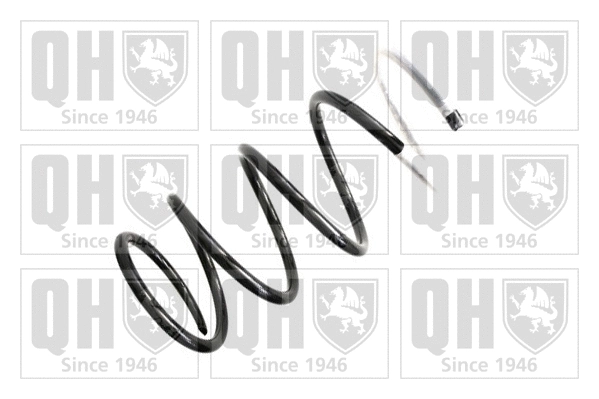 Suspension Spring (QCS5890)
