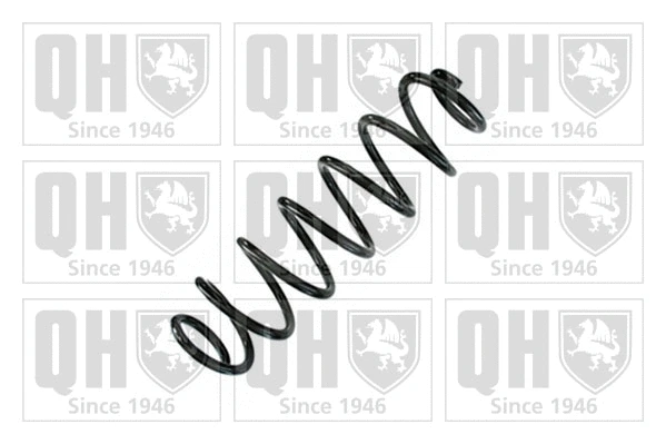 Suspension Spring (QCS9102)