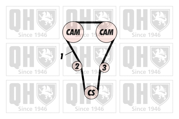 Timing Belt Kit (QBK496)