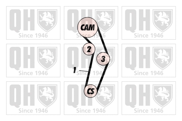 Timing Belt Kit (QBK534)