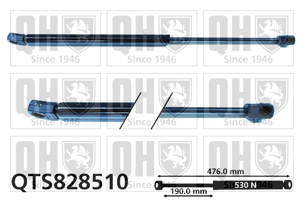 Gas Spring, boot/cargo area (QTS828510)