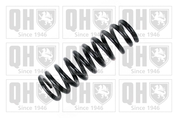 Suspension Spring (QCS7812)