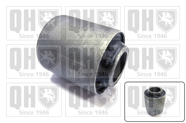 Mounting, control/trailing arm (EMS8051)