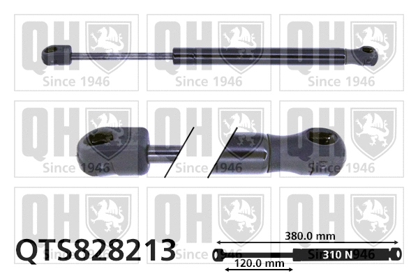 Gas Spring, boot/cargo area (QTS828213)