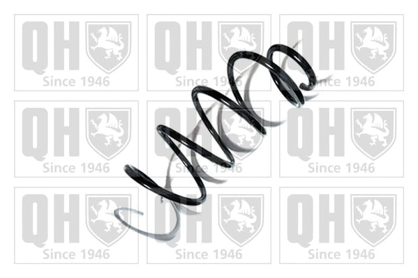 Suspension Spring (QCS9008)