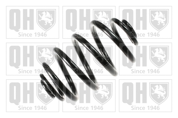 Suspension Spring (QCS6796)