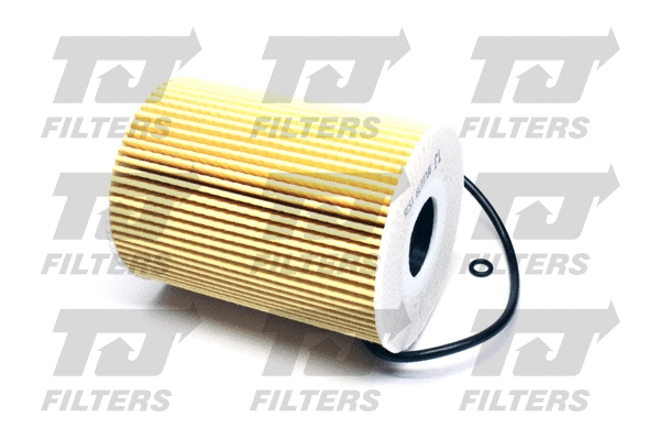 Oil Filter (QFL0139)