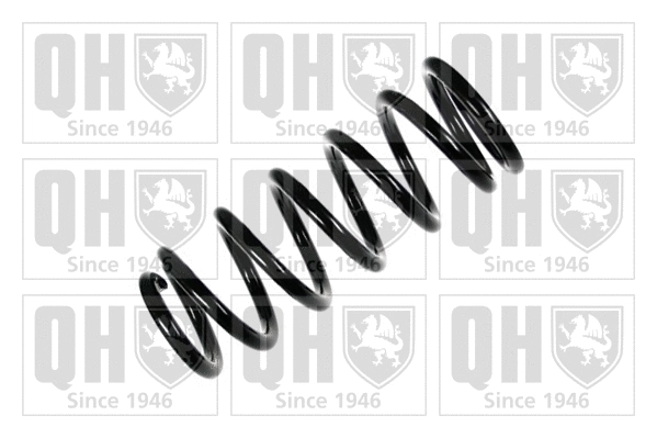 Suspension Spring (QCS6794)