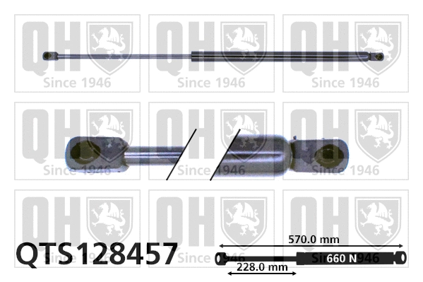 Gas Spring, boot/cargo area (QTS128457)