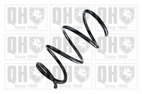 Suspension Spring (QCS8746)
