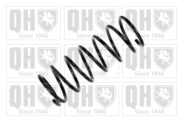 Suspension Spring (QCS6505)