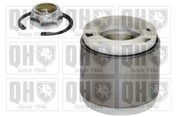 Wheel Bearing Kit (QWB662)