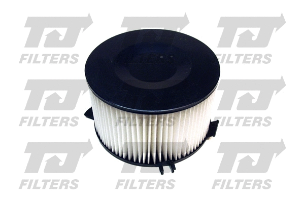 Filter, cabin air (QFC0021)