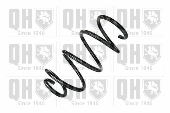 Suspension Spring (QCS8870)