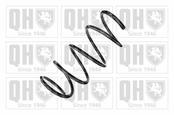 Suspension Spring (QCS8896)