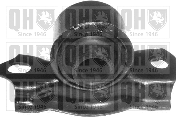 Mounting, control/trailing arm (EMS8076)