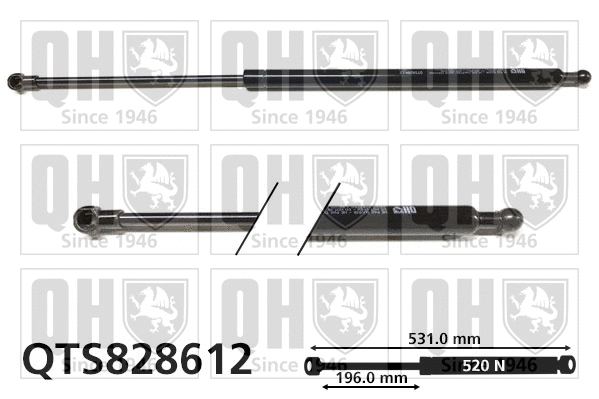 Gas Spring, boot/cargo area (QTS828611)