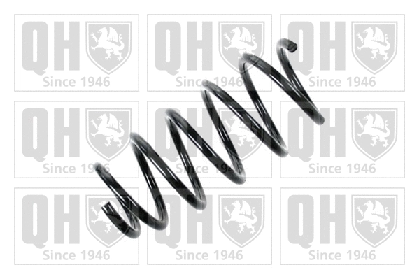 Suspension Spring (QCS6137)