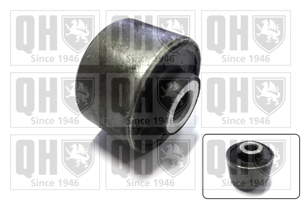 Mounting, control/trailing arm (EMS8524)