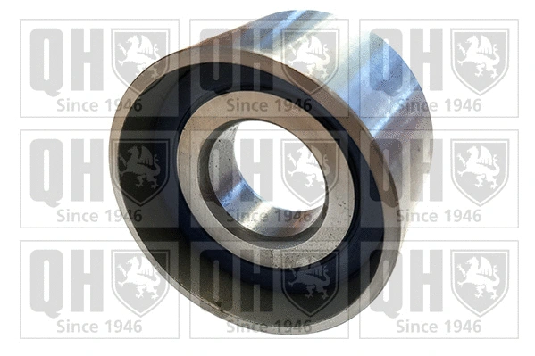 Deflection/Guide Pulley, timing belt (QTT113)