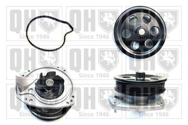 Water Pump, engine cooling (QCP3923)