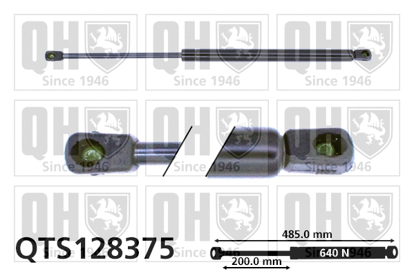 Gas Spring, boot/cargo area (QTS128375)