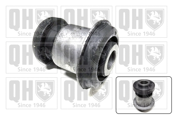 Mounting, control/trailing arm (EMS8702)